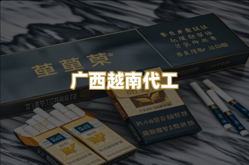 广西越南代工